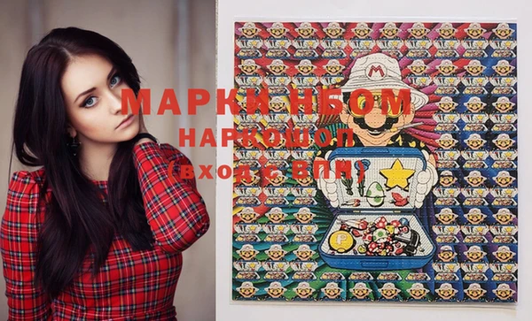 твердый Аркадак