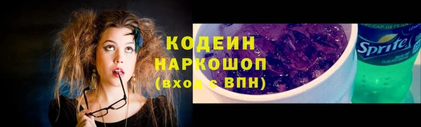 прущий лед Арсеньев
