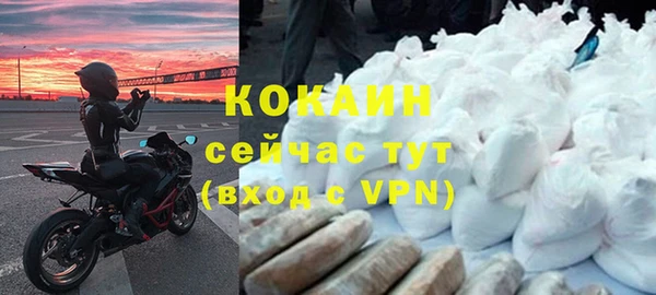твердый Аркадак