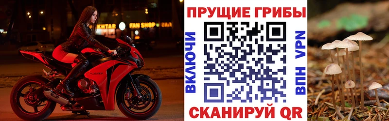 Псилоцибиновые грибы GOLDEN TEACHER  Купить  Павловск 